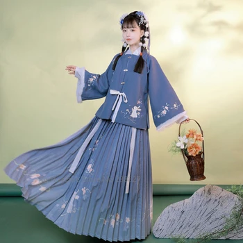 XinHuaEase Chineză Tradițională Haine pentru Femei Hanfu Iarna Doamnelor Vechi, Haine Zână Cosplay Costum Dinastiei Ming Elegant