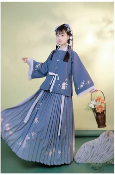 XinHuaEase Chineză Tradițională Haine pentru Femei Hanfu Iarna Doamnelor Vechi, Haine Zână Cosplay Costum Dinastiei Ming Elegant