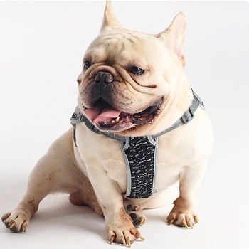 Nailon Reflectorizante Numele Cablajului Vesta Curea Small Medium Large Dog Personalizate Valorifica în Afara Anti-grevă de Companie Ham Lesa Set