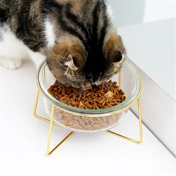 Noi Non-alunecare Cat Boluri Pahare de Unică Boluri cu Aur Stau Pet Food&Water Castroane pentru Caini si Pisici Alimentatoare Produse pentru animale de Companie Pisica Castron