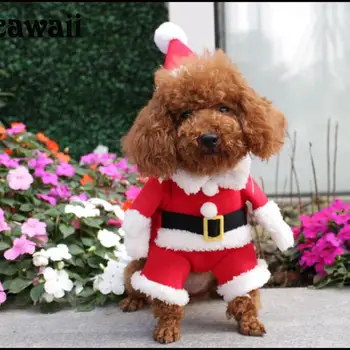 Santa Câine de Companie Costum de Haine de Crăciun pentru Câini de talie Mică de Iarna Câine Haină cu Glugă Jachete Catelul Pisica Îmbrăcăminte Chihuahua Tinuta