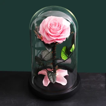 Frumoasa Și ia Două Flori de Trandafir În Balon Decor de Nunta Flori Artificiale În Capac de Sticlă Pentru Ziua Îndrăgostiților Cadou de Ziua de nastere