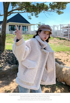Iarna 2020 nou de lână de miel strat de sex feminin coreeană versiunea vrac piele de căprioară blana all-in-one motocicleta jacheta sacou