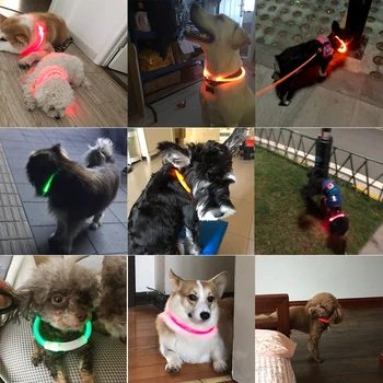 USB animale de Companie Câine Guler Reîncărcabilă Tub cu Led-uri Intermitente de Noapte Anti-a Pierdut Luminos Guler Pentru Câini Puppy Guler Cu Baterie de Produse pentru animale de Companie