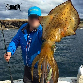 Regatul 2019 Înaltă Calitate Pescuit Calmar Atrage 108mm 20g Scufundarea Greu Momeli Calmar, Creveți Jig Atrage Momeli de Pescuit