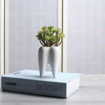 Noua Forma Dintilor De Creație Ceramică Plante Suculente Ghiveci De Flori Desktop Mini Ghiveci Ghiveci Biroul De Acasă Decorare