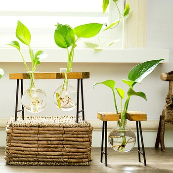 Cadru De Lemn Hidroponice Sticlă Transparentă Vaza De Plante Desktop Recipient De Sticlă De Birou Living Retro Ghiveci