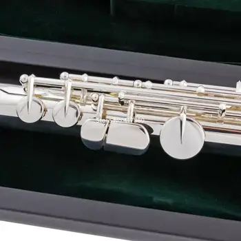 Populare Perla Flaut Alto PFA-206 ES 16-a Închis Gaura G Ton Argintiu Placat cu Profesionist instrument Muzical cu caz transport gratuit