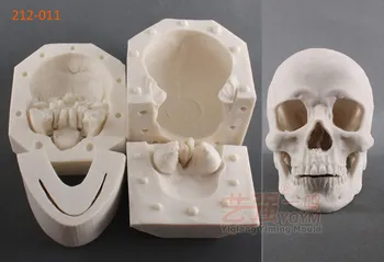 1:1 Dimensiunea Reală Craniu 3D Silicon Tort Fondant Matrite Serie de Halloween Craniu DIY Decor Embosser Mucegai Tort Copt Instrumente FM463