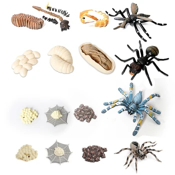 Simularea Ciclului de Viață Figurine Unei Furnici,Țânțari,Spder,Tarantula Etapele de Viață Cifrele pentru Învățare și Predare jucărie de Învățământ