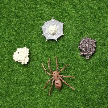 Simularea Ciclului de Viață Figurine Unei Furnici,Țânțari,Spder,Tarantula Etapele de Viață Cifrele pentru Învățare și Predare jucărie de Învățământ