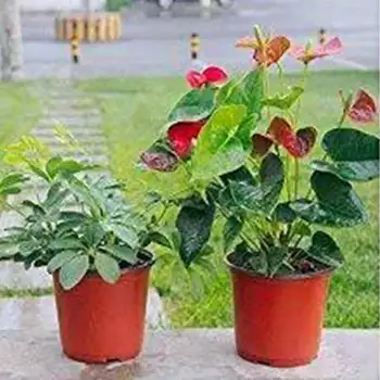 100 de pc-uri Portabile de plastic ghiveci respirabil ghiveci decorativ de masă potrivite pentru ghivece cu plante durabil unelte de grădinărit