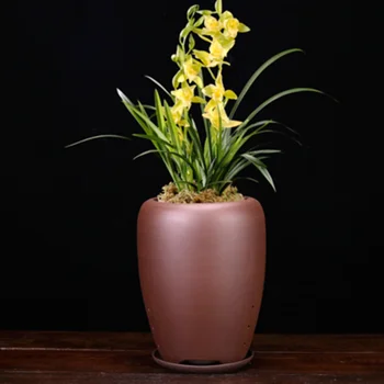 Violet Fin Nisip Ghiveci Orhidee, Bonsai Bazinul Yixing Ceramice De Uz Casnic Interioară Bluegrass Vaza Cu Tava