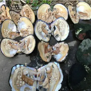 Dorința de dragoste perle naturale de stridii en-Gros de 5-7mm AAA Perla pe Vacuum-pack de apă dulce pearl cu aproximativ 20-25 de perle akoya oyster