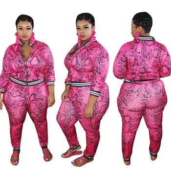 Haine roz pentru Femei Plus Dimensiune 3XL 4XL 5XL Supradimensionat Leopard Două Bucata Set top si pantaloni Femei 2020 Toamna toamna Iarna Haine