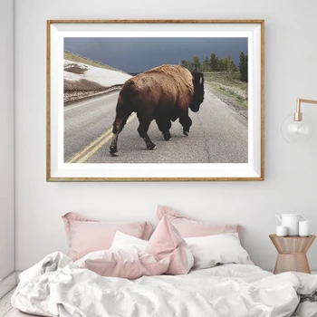 Postere Si Printuri Street Walker Vaca bovine Highland Poster Canvas Tablou de Animale Nordice Arta de Perete Imaginile Pentru Camera de zi