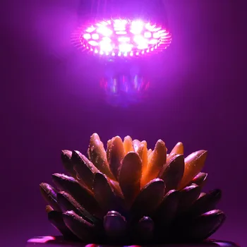 Planta Led-uri Cresc Light E14/ E27/GU10/ Phytolight UV IR PhytoLamp Pentru Flori de Interior de Legume Semințe de Plante Cort cu efect de Seră Hidroponică
