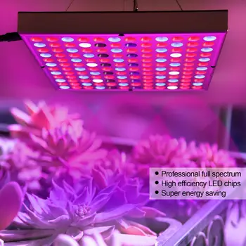 Planta cu LED-uri de Lumină de Flori Suculente Cresc Lumini 25W Full Spectrum cu efect de Seră, de Creștere a Plantelor Lumina Pepinieră Lumina Phytolamp pentru Plante