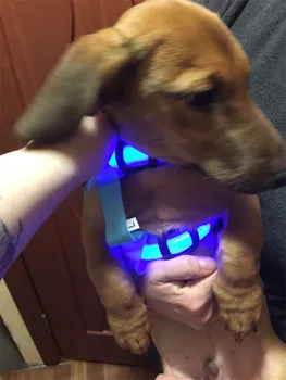 FC99 Lumini LED-uri de Nailon Câine de Companie Cablajului Guler Produse Câine Centura de Tracțiune luminos de Lumină de Siguranță Câine Ham cu Dungi Cablajului