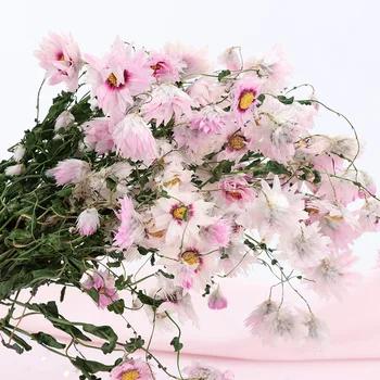 YO CHO Veșnică floare albă, floare margarete uscate de plante mici, imortelă buchet de nunta de decorare real de flori decor acasă