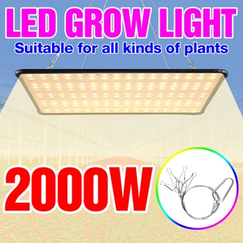 2000W Fito Lampă cu LED-uri Cresc Cort de Lumină Pentru Hydroponics Ligjting CONDUS întregul Spectru de Plante în Creștere Lampa 220V Răsad Fito Lampara