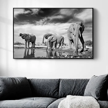 Africa De Animale Sălbatice Elefant Tablouri Canvas Alb Negru Animale Postere Si Printuri Poze De Perete Camera De Zi Decor Acasă