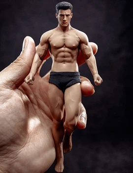 1/12 Super Flexibil de Fitness Masculin Corp fără Sudură Cap Mini figurina Model pentru Fanii Cadouri de Colectie