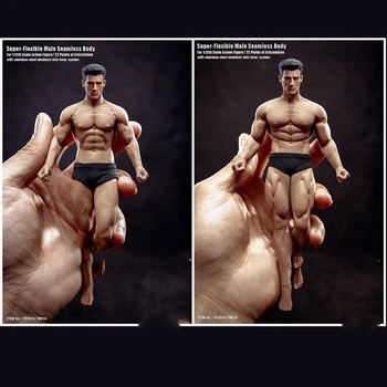 1/12 Super Flexibil de Fitness Masculin Corp fără Sudură Cap Mini figurina Model pentru Fanii Cadouri de Colectie
