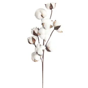 În mod natural Uscate de Bumbac Tulpini Fermă Flori Artificiale de Umplutură Florale, Decor Flori Artificiale de Gradina Decor Fals Decor DIY
