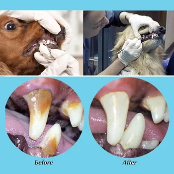 5Pcs Veterinar Acasă detartraj de Îngrijire a Sănătății Câine Detartraj Dentar Set de Companie Dinte Calcul Curățare Unelte Portabile cu Cap Dublu
