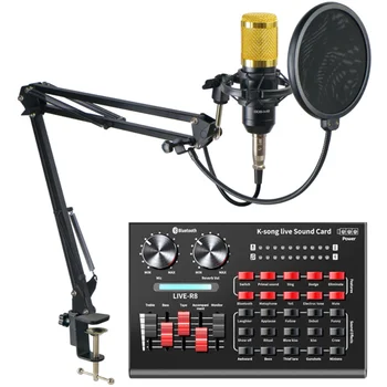 BM 800 de Microfon cu R8 placa de Sunet BM800 Microfon Profesional cu Condensator Microfon pentru Calculator de Înregistrare Podcast TikTok