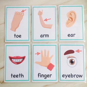 30pcs Parte a Corpului de Învățare limba engleză, Cuvânt Jocuri de cărți Montessori Carduri Flash pentru Copii Jucarii Educative Pentru Copii