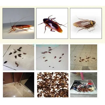 50PCS/Lot Eficiente Momeala Pulbere pentru Gândac de Insecte Puternic spray Zbura Momeală Eficientă Gândac Uciderea Momeala Musca Momeala