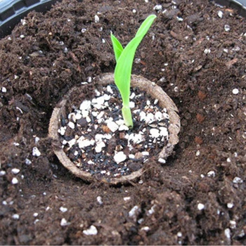 Behogar 93PCS Grădină Semințe Starter Set cu Vase de Turbă Răsaduri Dibbers Etichete de Plante în Creștere Tavă pentru Flori, Legume, iarba de Grau