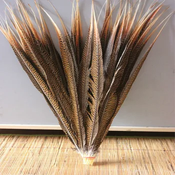 10 BUC naturale decorative fazanul de aur coada pene de 20-22 cm / 50 la 55 cm pana decoratiuni en-gros
