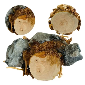 Driftwood Mini Acvariu Copac de pe Piatra Naturala, lucrate Manual cu Rezervor de Pește Decor Ciot de Copac de Pădure Raft