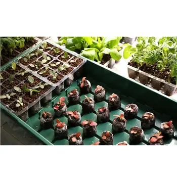1 Set de Plastic Răsad Cutie Suculente de Plantat Respirabil Placă de Plantare de Flori în Creștere în Caz de Acasa Magazin