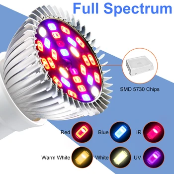 LED-uri Cresc Light Chip Full Spectrum LED-uri Cresc Lumini UE/SUA Pentru Iluminat Interior Cresc de Lumină Pentru Interior Cameră de creștere Răsaduri Growlight