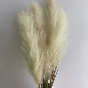 5PCS Iarbă de Pampas Stuf de Flori Uscate de Nunta Prime Culoare Alb de Orez Decor de Crăciun Aranjament Floral Material