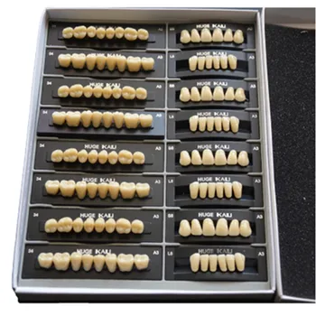 4 seturi /cutie Dentare Polimer Sintetic Dinți Rășină Proteza Dentară Dinți Model