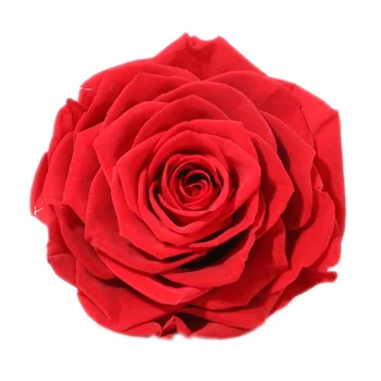 Rose ulei esențial AKARZ Brand de Top organismului fata de îngrijire a pielii, spa mesaj de parfum lampa de Aromoterapie ulei de Trandafir