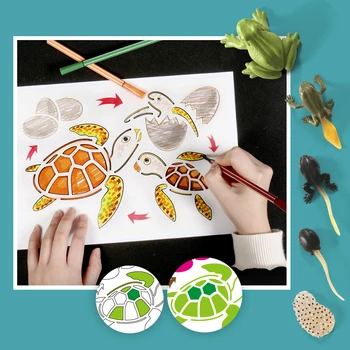 Montessori Gărgăriță,Fluture,carne de Pui,Broasca Ciclului de Viață Desen Șabloane,Modele Animale Figurine de Predare jucarii Educative pentru Copii