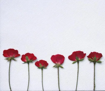 60pcs Apăsat Apăsați Uscate de Trandafir Uscate Flori Plante Pentru Epoxidică Rășină Pandantiv Colier Bijuterii de Luare de Artizanat DIY Accesorii
