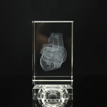 Cristal 3D cu Laser Inima Anatomie Model Cub de Figurine Miniaturale Pentru Spitalul de Afișare magazin de Suveniruri
