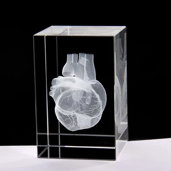 Cristal 3D cu Laser Inima Anatomie Model Cub de Figurine Miniaturale Pentru Spitalul de Afișare magazin de Suveniruri