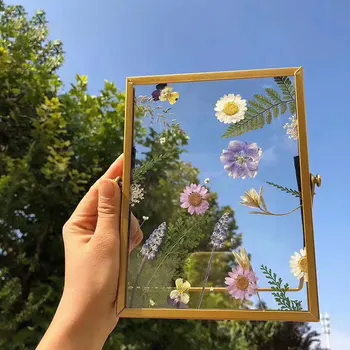 Flori uscate de Sticlă Metal Rama Foto Creativ Retro DIY Planta Specimen Cadru de Imagine Acasă Fier Decorative Veșnică Rame de Flori