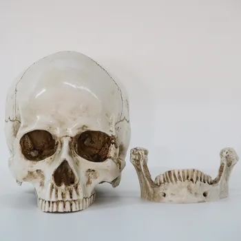 Halloween Rășină Craniu Ornament Statuete, Sculpturi Schelet Decor Capul Oaselor Ambarcațiuni De Crăciun Acasă Decorative Medicale Craniu Model