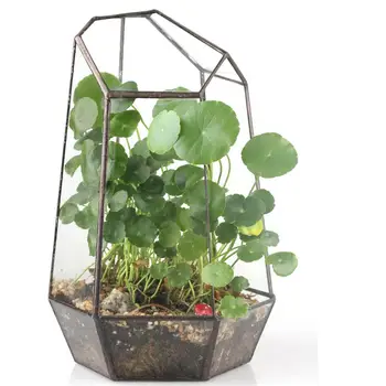 19cm Inaltime Neregulate Sticlă Geometrice Terariu Cutie Masă Plante Suculente Plantat Flori Moss Ferigă pot