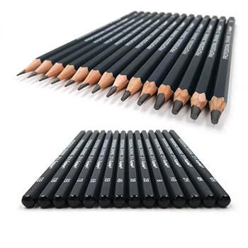 14 Buc/set Profesional de Desen Schiță Creion Set Dainting Creioane Carbune de Rechizite Pentru Elevii de Arta Pictura Iubitorii