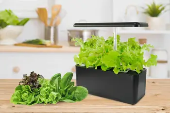 Hydroponics Sistem de Creștere Interioară, Grădină Starter Kit cu LED-uri Cresc Light, Inteligent Plantat Gradina pentru Acasa Bucătărie, Automat